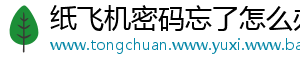 纸飞机密码忘了怎么办